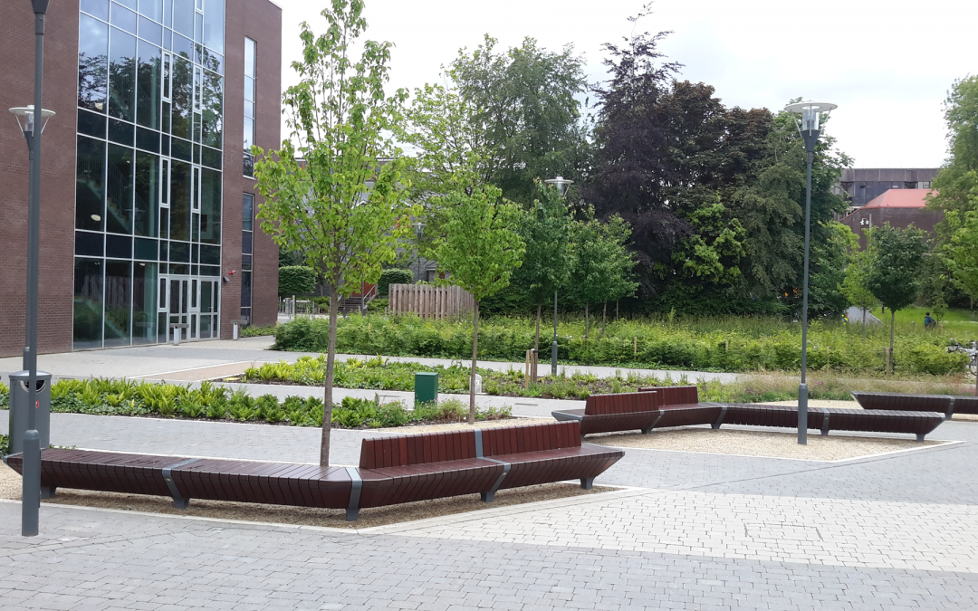 University of Limerick
